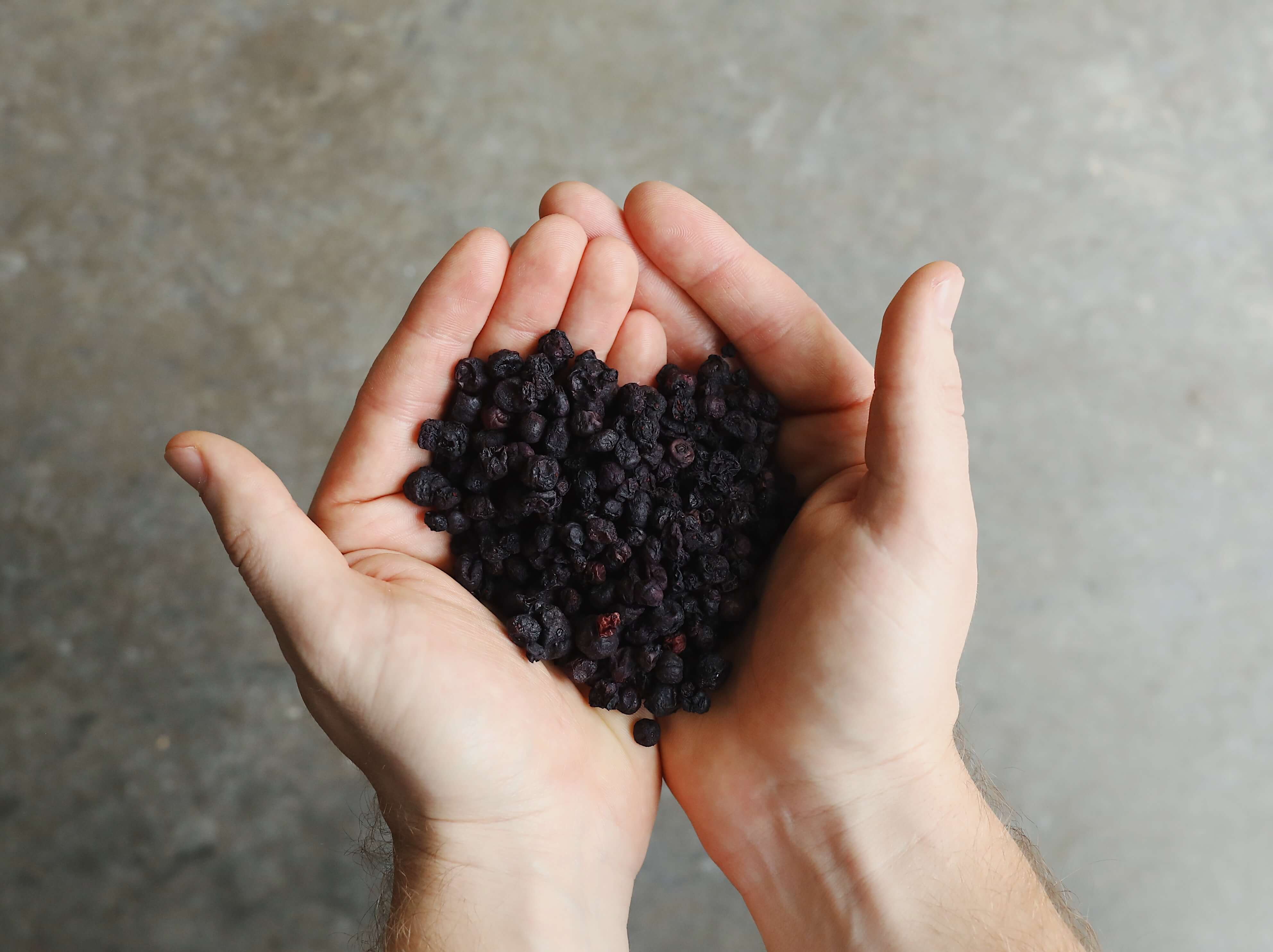 Hand holding a bunch of dried blueberries, naturally in a heart shape.