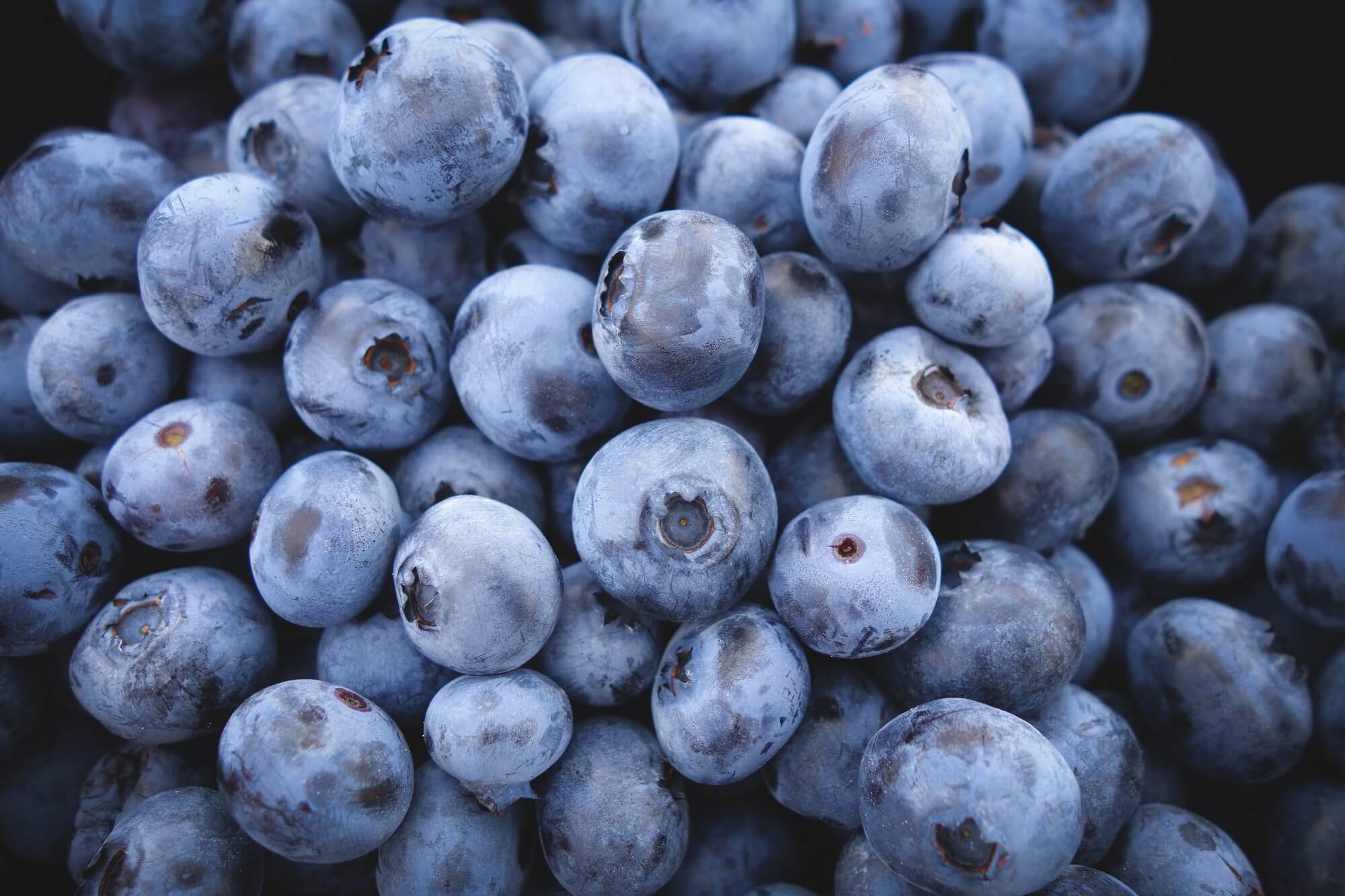 Fresh deep blue blueberries.